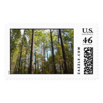 Woodland Scene postage by JLWinther Woodland Scene postage