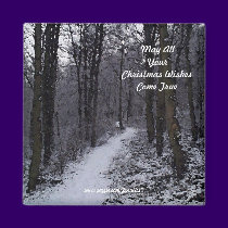 Woodland Snow Scene magnets by JenuArt Woodland Snow Scene magnets