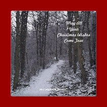 Woodland Snow Scene magnets by JenuArt Woodland Snow Scene magnets