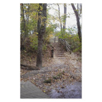 Woodland staircase stationery