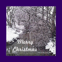 Woodland Stream in Snow magnets by JenuArt Woodland Stream in Snow magnets