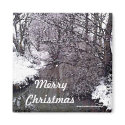 Woodland Stream in Snow magnets