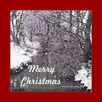 Woodland Stream in Snow magnets by JenuArt Woodland Stream in Snow magnets