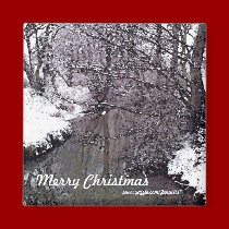Woodland Stream in Snow magnets by JenuArt Woodland Stream in Snow magnets