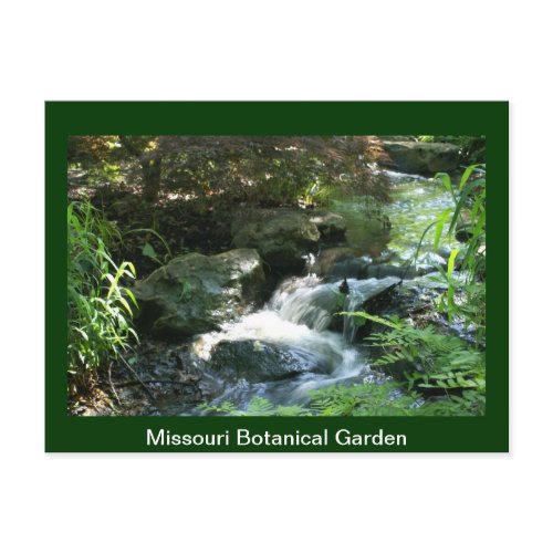 Woodland Stream postcard