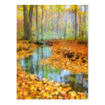 Woodland stream, postcards postcards