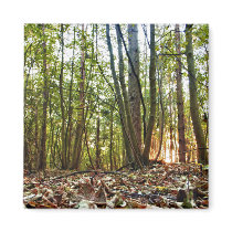 Woodland Sunset fridge magnet magnets