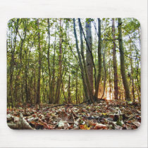 Woodland Sunset mouse mat mousepads