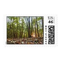Woodland Sunset postage stamps