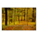 Thumbnail image for “An early morning walk is a blessing . . .” woodland trail poster