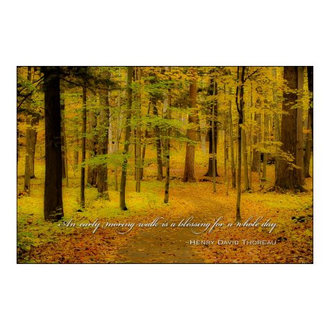 Woodland Trail & Henry David Thoreau quote print