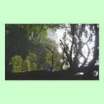 Woodland Valley View stickers