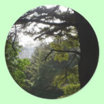 Woodland Valley View stickers