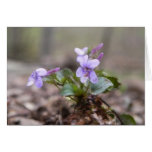 Woodland Violet Greeting Card