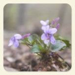 Woodland Violet stickers