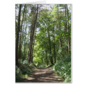 Woodland Walk Card by emele1 Woodland Walk Card