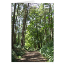 Woodland Walk Card