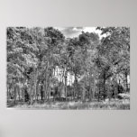 Woodland Walk posters