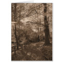 Woodland Walks cards by Genieslot Woodland Walks cards