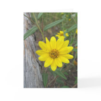 Woodland Wildflower Note Card