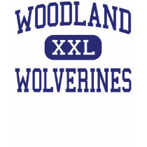 Woodland Wolverines Middle East Point t-shirts
