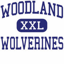 Woodland Wolverines Middle East Point t-shirts