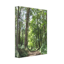 Woodlands Wall Decor Gallery Wrap Canvas