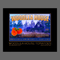 Woodlea House Tavares fine art poster posters