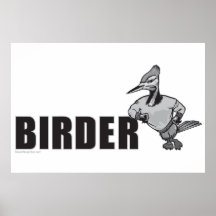Woodpecker Bird Watching Posters