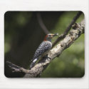 Woodpecker Bird Wildlife Photography Mousepad