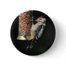Woodpecker Pinback Buttons