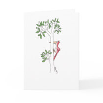 Woodpecker Greeting Cards