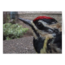 Woodpecker Card