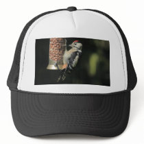 Woodpecker Trucker Hat
