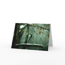 Woodpecker in Snow Greeting Card
