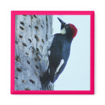 Woodpecker Fridge Magnet
