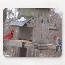 Woodpecker&Male Cardinal Mouse Pads