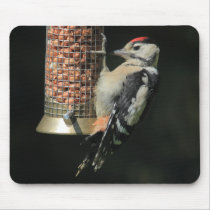 Woodpecker Mouse Pads