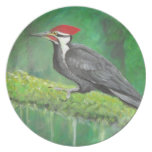 Woodpecker plate