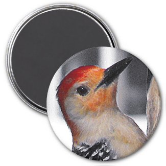 Woodpecker Portrait magnet