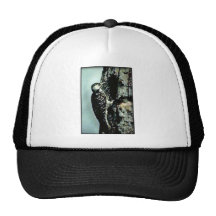 Woodpecker, red-cockaded (B04F) Mesh Hats