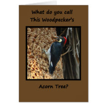 Woodpecker Retirement Greeting Cards