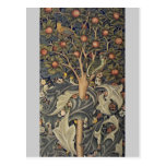 Woodpecker tapestry post cards