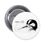 Woodpecker Tongue Anatomy Round Button