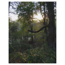 woods 1 flyers by deangrevitt woods 1 flyers