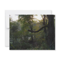 woods 1 invitations by deangrevitt woods 1 invitations