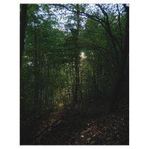 woods 2 letterhead by deangrevitt woods 2 letterhead