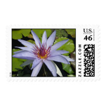 Wood's Blue Goddess stamps