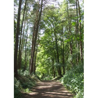 Woods Card card