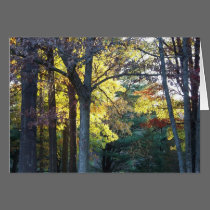 woods card cards